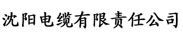 苹果可以看黄色的app免费电缆厂logo